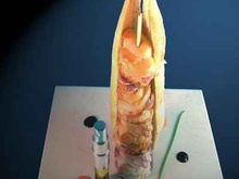 Illusion d'un Kebab de Saint-Jacques et son spray