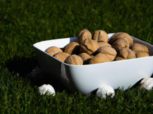 Noix de pétoncle en prairie