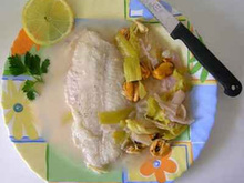 Blanquette de la mer