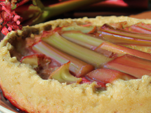 Gâteau à la rhubarbe rapide