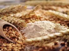 20 secrets pour réussir une pizza comme en Italie