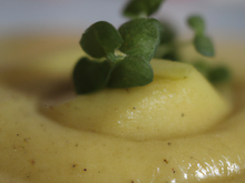 Petite Purée Magique