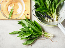 Ail des ours : voici ce qu’il faut bien vérifier avant d’en consommer pour éviter l’intoxication