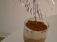 Verrine aux pommes et spéculos