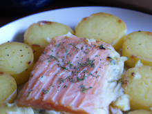 Gratin de pommes de terre au saumon