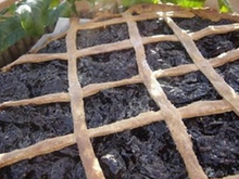 Tarte aux pruneaux de l'Ile d'Yeu