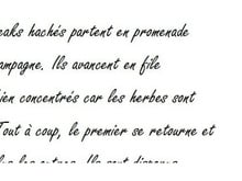 Une histoire de steaks hachés