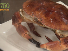 Comment cuire un tourteau ? 