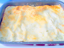 Lasagnes de légumes aux protéines de soja