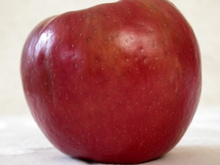 Salade de pommes facile