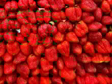 Peut-on vraiment congeler des fraises sans les abîmer ?