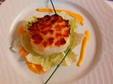 Lucullus de Saint Jacques