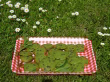Cookies Menthe & Pépites de chocolat