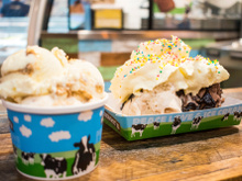 Le 16 avril prochain, c’est distribution gratuite de glaces Ben & Jerry's gratuites ! Voici les villes où vous pourrez en profiter