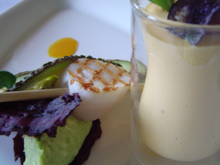 Fraicheur d'avocat, mi-cuit de Saint-Jacques grillée, tiramisu de carotte-curcuma