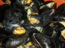 Moules à la crème et curry