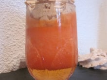 Panna cotta aux Haribos Tagadas et chantilly aux Carambars