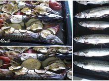 Maquereaux à la provençale