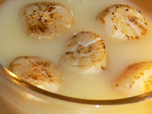 Velouté de chou fleur aux St Jacques