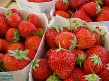 Mara des Bois, Gariguette, Charlotte : il y a vraiment une différence entre ces variétés de fraises ?