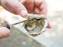 Vous allez ouvrir des huîtres pour le Nouvel an ? Le chef Eric Fréchon vous montre comment le faire facilement