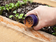 Voici l’ingrédient basique qu’on a tous chez soi pour venir à bout des fourmis dans la cuisine !