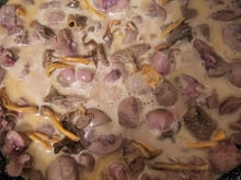 Rognons de veau sauce madère