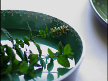 Courgettes à l'escabèche, menthe basilic, feta, citron confit