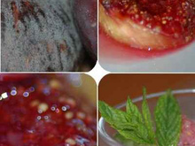 Prunes et figues rôties au miel accompagnées de leurs granité de figue à la menthe