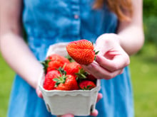 “Le dessert parfait à partager cet été !” : si vous aimez les fraises, cette recette gourmande de Laurent Mariotte va vous enchanter !
