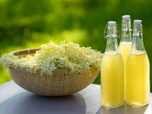 Sirop de fleurs de sureau