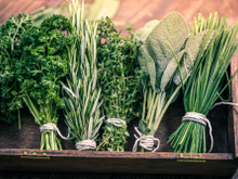 Persil, basilic, ciboulette, menthe : comment congeler ces aromates sans les abîmer !