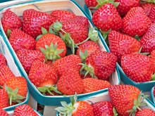 Quelles variétés de fraises choisir pour le printemps ? Une primeur Meilleur Ouvrier de France nous a répondu !
