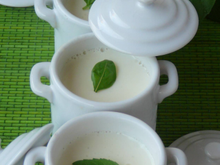 Panna cotta au basilic