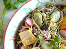 Salade printanière de nouilles soba aux graines germées, fèves et tofu sauté