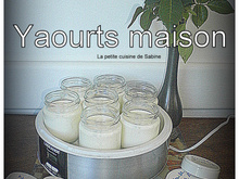 Yaourt à la vanille et yaourt à la fleur d'oranger