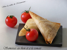 Samossas au thon et à la tomate