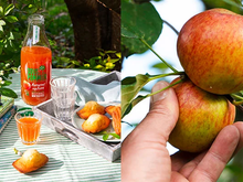 Le Club 750g : recevez gratuitement ce jus de pommes garanties 0 traitement, testez-le et donnez votre avis !