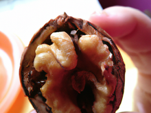 Noix de pétoncle au porto