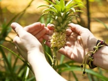 10 mini légumes et mini fruits