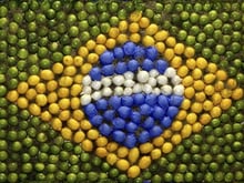 La cuisine brésilienne : Mélange d'histoire, de culture et de traditions