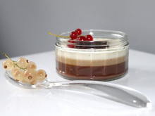 Panna cotta tri-gout