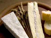 Brie truffé