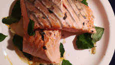 Saumon en cache-cache