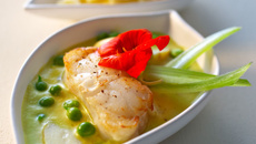 Sbrinz AOC, lotte dorée et curry jaune