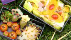 Bento Petit hérisson au jardin
