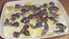 Gratin de pommes de terre aux morilles