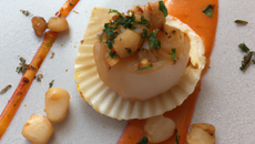 Noix de st Jacques façon Salaün