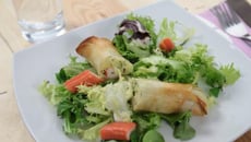 Nems de courgettes au Coraya saumon fumé