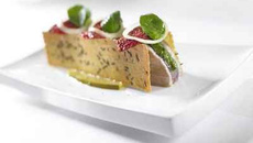 'Casse croûte' de thon de Méditerranée